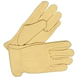 Bob Dale 20-1-365-S Premium Ladies Grain Leather Deerskin Driver Glove, Small, Tan by Bob Dale