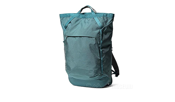 patagonia linked 28l pack