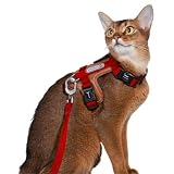 Lucky Friends 抜けない 猫 ハーネス リード付き 散歩用 サイズ調節可能 抜けにくい 簡単装着 猫用 リードセット (レッド)