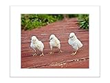 5x7 Matted Nursery Child Room Print Baby Chick Rustic Wall Decor [並行輸入品]