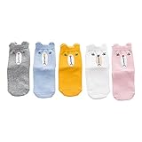 子供のソックス 綿 子供靴下 ベビー　キッズ用靴下　可愛い　ベビーソックス　子供靴下　男女兼用　お祝い　外用５セット (1-3歳, B)