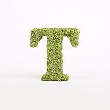 A plus floral art インテリアグリーン イニシャルモス [ T ] アルファベット オブジェ 置物 苔 イニシャル 雑貨 北欧風 インテリア