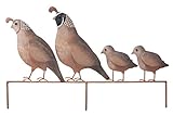 Regal Art & Gift REGAL05339 Quail Family Yard Art