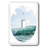 3dローズAnne Marie Baugh – Photography – Ocean Wave Curling写真セットin a modern circle – 照明スイッチカバー – シングルトグ