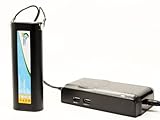 Paslode BCPAS-404717SH 互換バッテリー + 充電器 : Paslode 6V 電動 工具用 対応バッテリー,充電器 (1300mAh, 6V, ニカド)