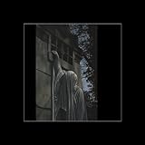 Within the Realm of a Dying Sun [12 inch Analog]