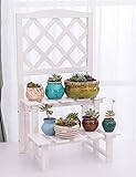 CHAOXIANG フラワーシェルフウッドミニ2層フラワーポットシェルフヨーロッパスタイルの屋内シンプルなデスクトップFleshy plant shelves (色 : 白)
