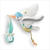 Hallmark 2007 - Special Delivery - Baby's First 1st Christmas by Hallmark Keepsake [並行輸入品]