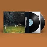This Stupid World [輸入アナログ盤 / 2LP] (OLE1929LP)_1658 [Analog]
