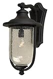 Artcraft Lighting Monterey Bay Outdoor Wall Sconce Light, Black [並行輸入品]