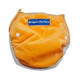 ドラゴンおむつカバー（フルオープンポケット型）[Dragon Flovers] (オレンジ)