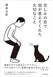 悲しみの底で猫が教えてくれた大切なこと