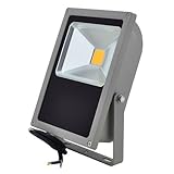 LEDwholesalers Series 3 Outdoor Security Flood Light 50 Watt, White, 3719WH [並行輸入品]