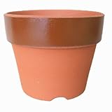 常滑焼 菊用駄温鉢 5号 10個入り ／植木鉢