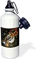 3dRose "Beautiful Bengal Tiger Print and Frame" スポーツウォーターボトル 21オンス ホワイト