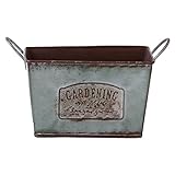 不二貿易 コルテ スクエアポット S グリーン 31832