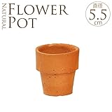 素焼きナチュラル植木鉢　直径5.5cm