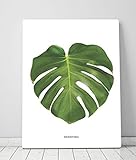 FRAME TABLE額縁デザインテーブル 折りたたみ ちゃぶ台 N05S [並行輸入品]