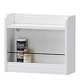 白井産業 【SHIRAI】 レトロモダンの小さな壁掛けラック 白 ホワイト レトロア RTA-3535A