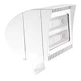 RAB Lighting FXLED78TNW Flexflood 78W Neutral LED Trunnion Light, White [並行輸入品]