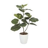 グリーン／観葉植物 光触媒 造花 ウンベラータ グリーン 人工植物 消臭 抗菌 ホルムアルデヒド 植物 人工 タバコ ペット アートフラワー オフィス プレゼント ギフト