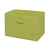 アイリスオーヤマ ボックス インナーボックス ライトグリーン 幅38.5×奥行27×高さ27㎝ FIB-38