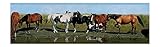 York Wallcoverings HJ6616BDSMP Lake Forest Lodge Sunday Afternoon 8-Inch x 10-Inch Wallpaper Memo Sa