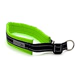 ザ・ブラックラブカンパニー ムックカラー 【R】 犬用首輪/Lサイズ ネオン グリーン /全13色・８サイズ！ 超小型犬から大型犬まで 犬グッズ専門店 オリジナル 国産 手作り