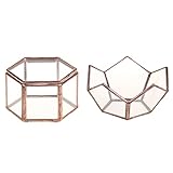 Blesiya ミニ　古典的な　テラリウムボックス　ジュエリーボックス　多肉植物プランター　2個/セット