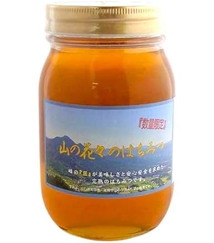 Amazon | 山の花々のはちみつ 600g | つかもと養蜂場 | はちみつ 通販