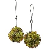 Nearly Natural 4959-S2 Mixed Succulent Hanging Spheres, 7-Inch, Green, Set of 2 [並行輸入品]