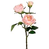 ローズスプレーX3 FXFR0008PNK