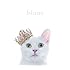 Aimer「BEST SELECTION "blanc"(初回限定盤B)」