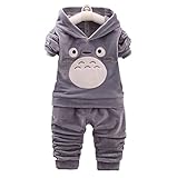 LIONEX 男の子フォーマル キッズ 子供 ボーイズ tシャツ上下セットアップ フード付き パーカー スウェット ベルベット パンツ 80 90 100 110 120 (100, グレー)