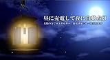 太陽光パネル搭載　ソーラーライト ヴェランタン　夜間自動点灯で自然の力ガーデニング、防犯等に