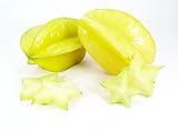 スターフルーツ Thai starfruit Averrhoa carambola 10 Seeds ThailandMrk