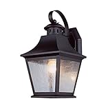 Transglobe Lighting PL-4871 ROB Outdoor Wall Light with Seeded Glass Shade, Rubbed Oil Bronze Finish