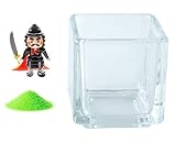 花市場直送便 ミニチュアガラス 織田信長 & カラーサンド パステルグリーン & 植え込み用グラス ニューブロックS