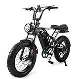 Houpet 電動アシスト自転車 20インチ 極太タイヤ 5段階アシスト 48V10Ahバッテリー シマノ7段変速 IP54防水 公道可 ブラック