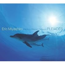 Eric Miyashiro Blue Horizon レコード限定メガジャケ付 Amazon | Blue Horizon (通常盤) (CD) - エリックミヤシロ (特典なし