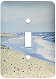 3dRose LLC lsp_18991_1 Ocean Waves - Single Toggle Switch