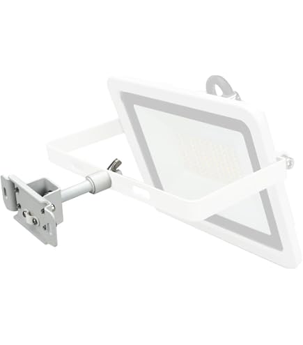 Amazon.co.jp: 富士倉(Fujikura) プロ仕様 HIGH POWER 25W 充電式