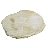 ココストーン飛石 約40cm