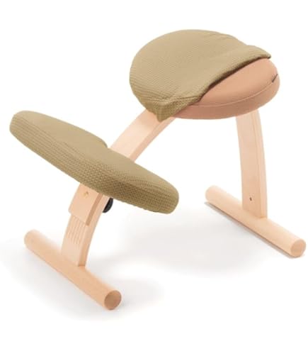 Amazon.co.jp: Balance Chair Easy Beige Balance Lab (Formerly