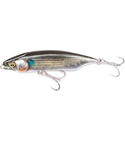 Amazon | メガバス(Megabass) EVOLUZION(エヴォルジオン)(C40-HDTS) F7