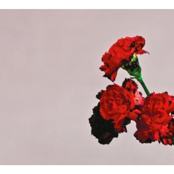 Amazon.co.jp: Evolver (Snys): ミュージック