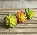 Mr。ガーデン人工植物Lifelike植物の表示
