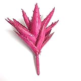 Dect 2pcs 5 Artificial Succulent Plants Purple [並行輸入品]