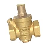 F Fityle 高品質　調整可能　水圧　減圧　弁圧縮解放弁　DN25