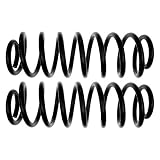 ACDelco 45H2164 Professional Rear Coil Spring Set